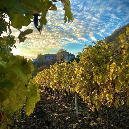Agriturismo Pian Del Duca Vesime Eksteriør bilde