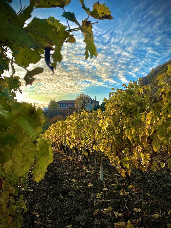 Agriturismo Pian Del Duca Vesime Eksteriør bilde