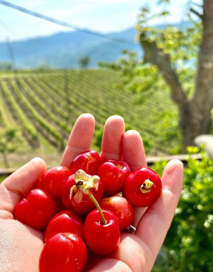 Agriturismo Pian Del Duca Vesime Eksteriør bilde