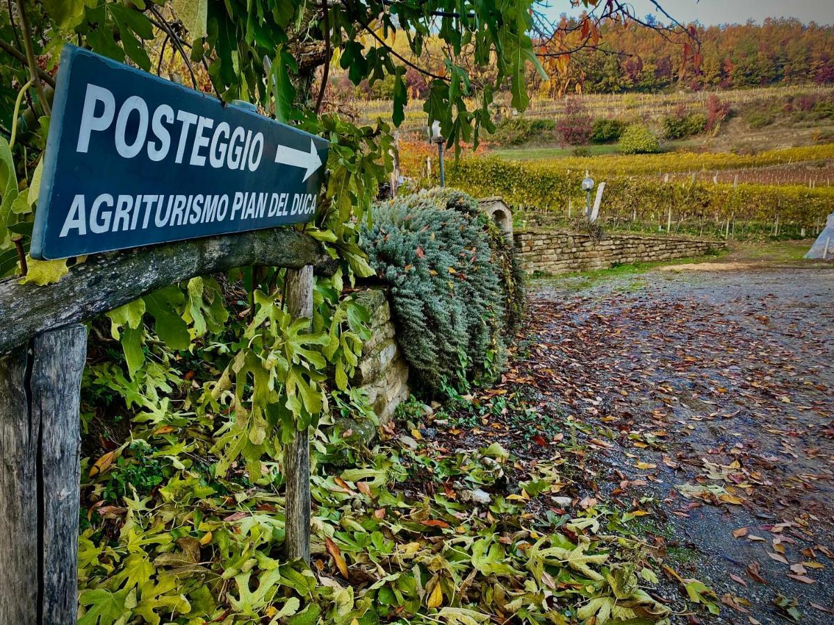 Agriturismo Pian Del Duca Vesime Eksteriør bilde