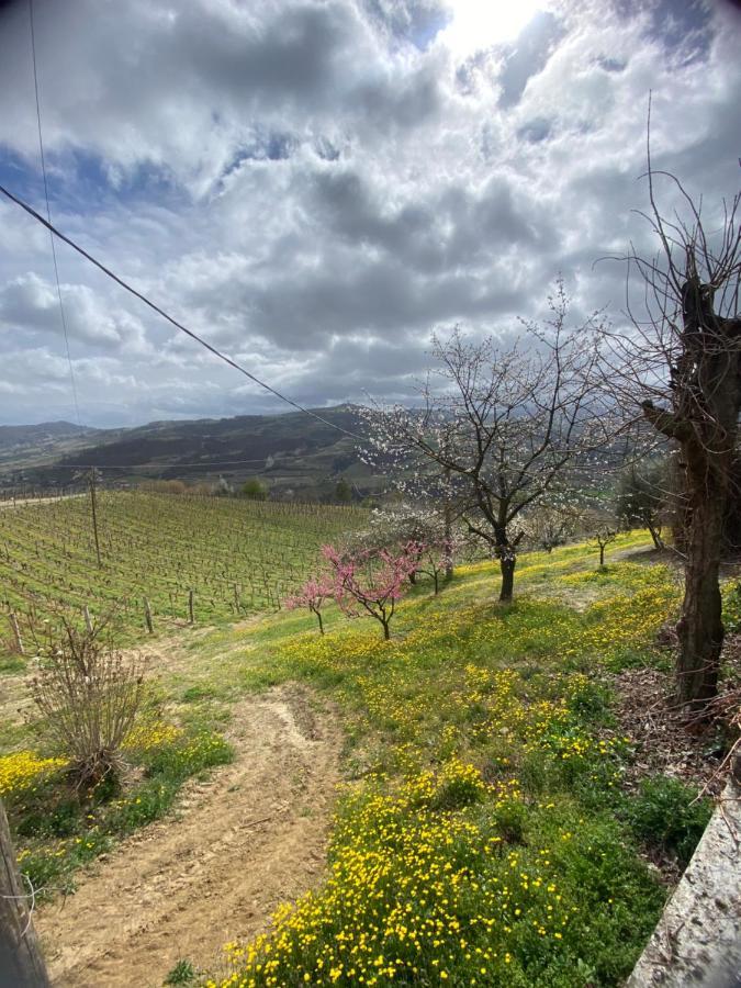 Agriturismo Pian Del Duca Vesime Eksteriør bilde