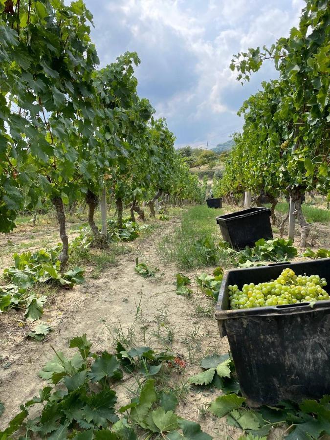 Agriturismo Pian Del Duca Vesime Eksteriør bilde