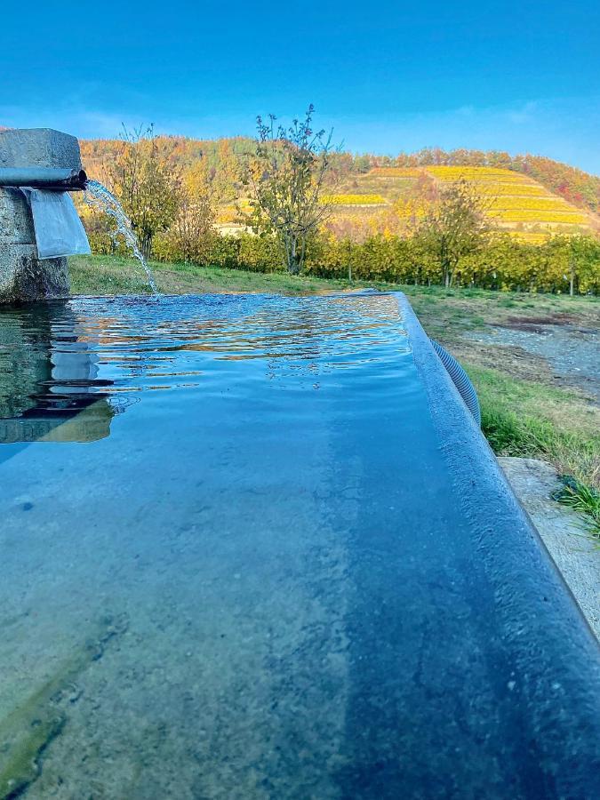 Agriturismo Pian Del Duca Vesime Eksteriør bilde