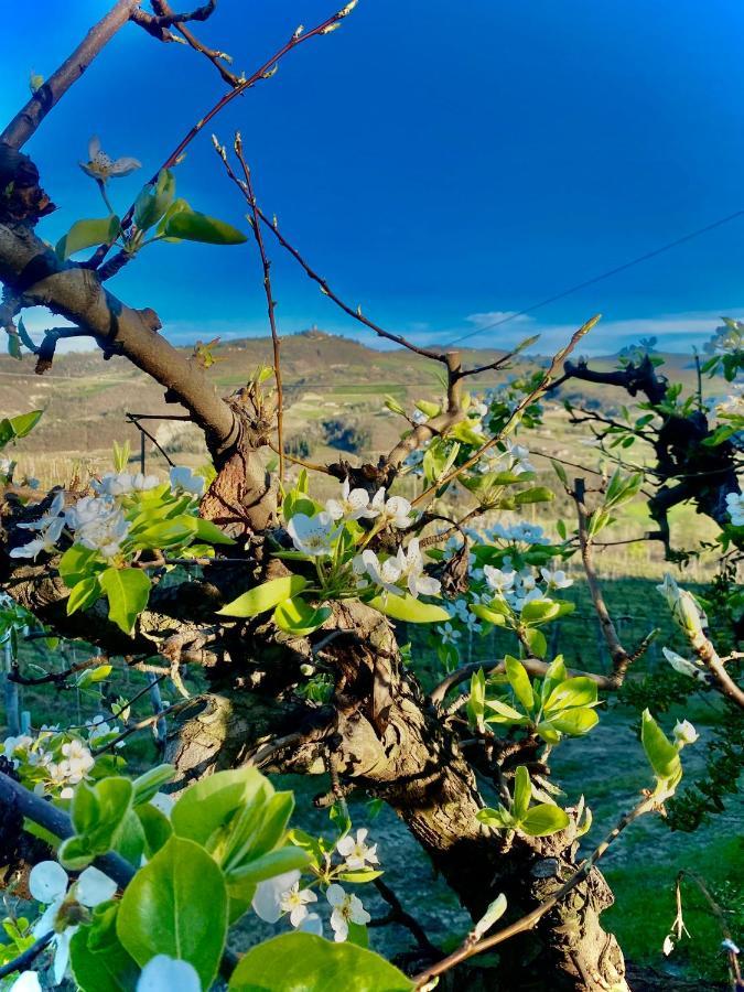 Agriturismo Pian Del Duca Vesime Eksteriør bilde